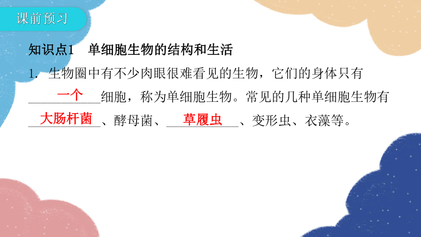 人教版生物七年级上册 2.2.4单细胞生物课件(共30张PPT)