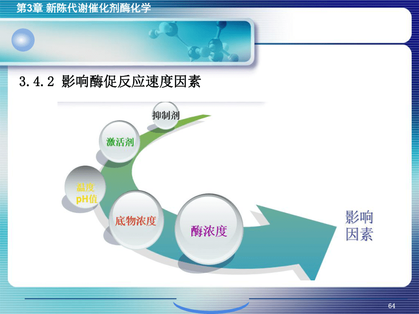 3.4酶促反应的动力学 课件(共41张PPT)- 《环境生物化学》同步教学（机工版·2020）