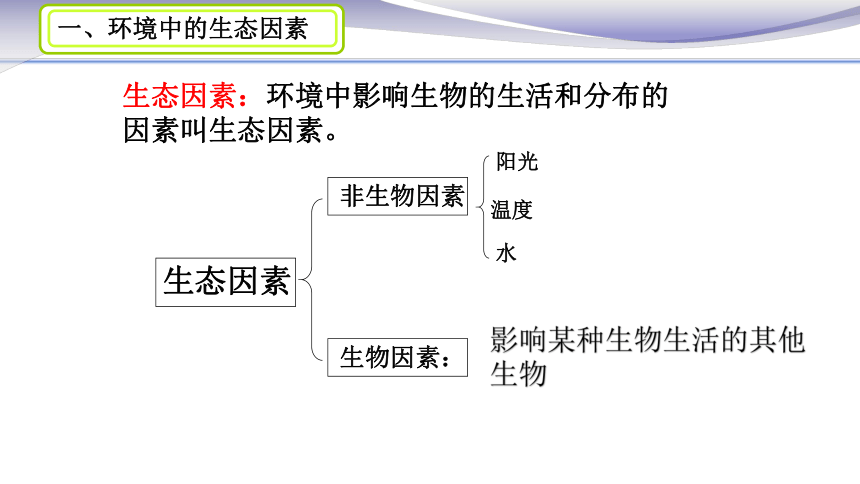 1.2.1生物与环境的关系课件（34张PPT）