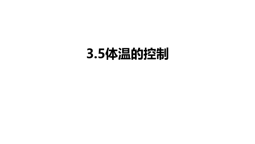 3.5 体温的控制（课件 25张PPT)