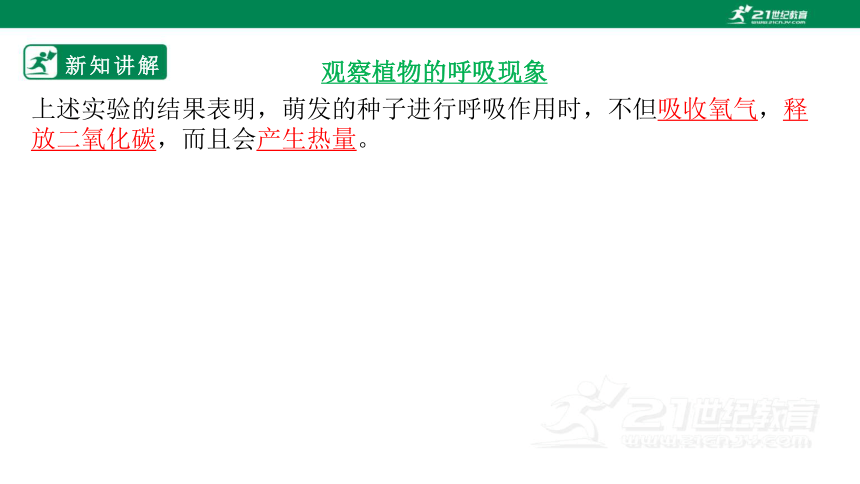 北师大版3.5.2 呼吸作用-2022-2023学年七年级生物上册同步课件（共30页）