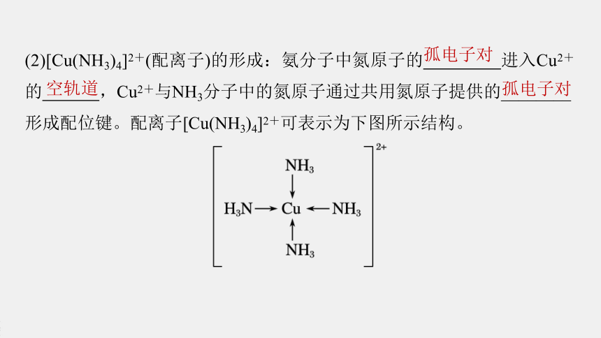 高中化学苏教版（2021） 选择性必修2 专题4  第二单元 第1课时　配合物的形成与空间结构（62张PPT）