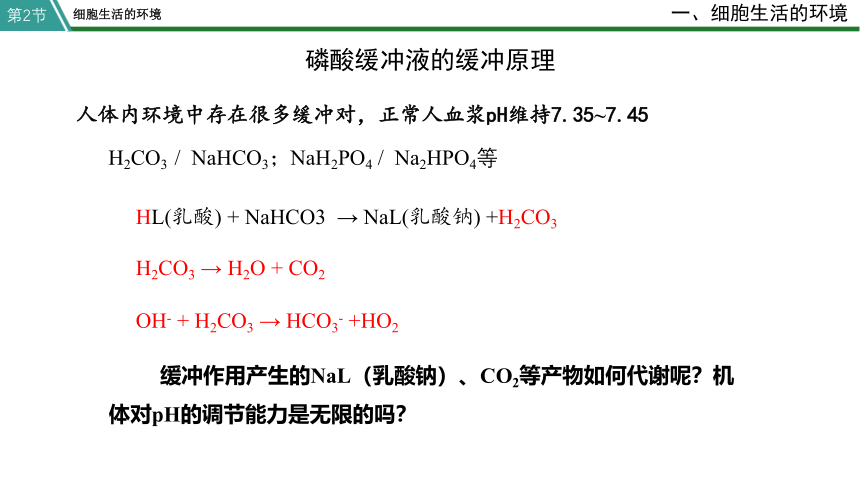 高中生物选修一 1.2 内环境的稳态 课件(共27张PPT)