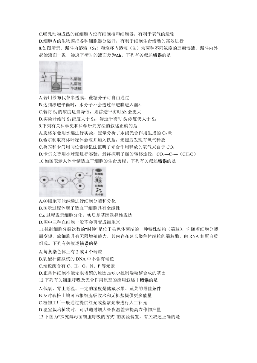 江苏省宿迁市2022-2023学年高一上学期期末考试生物学试题（含答案）