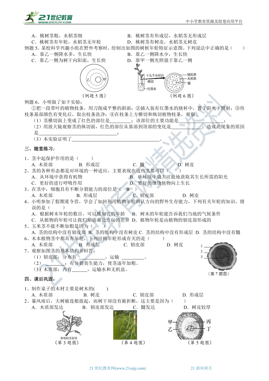 2022浙教版八下科学4.4植物的茎与物质运输（1）学案（含答案）