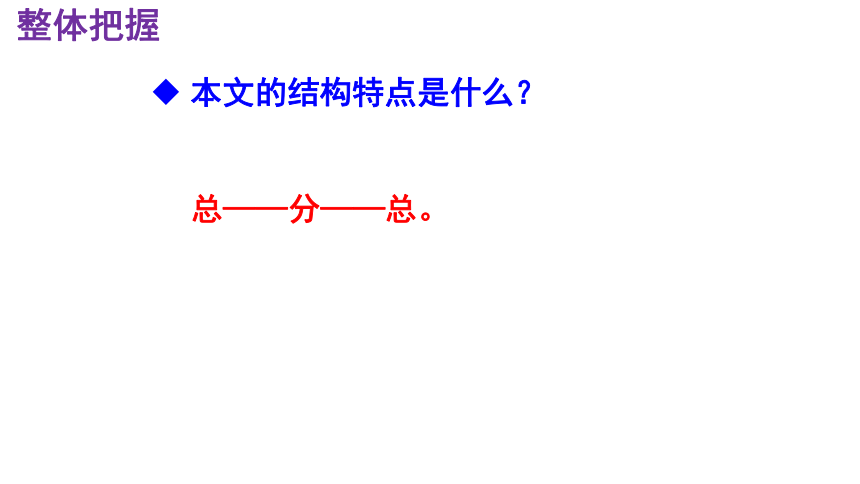 第8课《时间的脚印》课件（共45张PPT）2022-2023学年部编版语文八年级下册