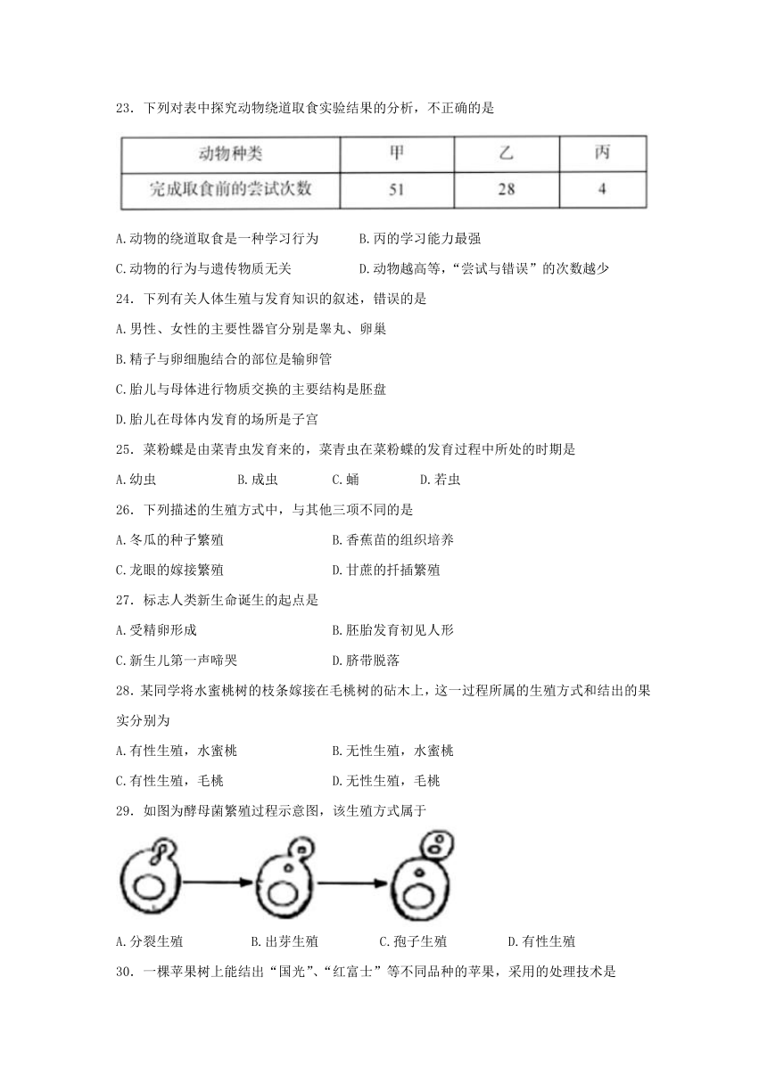 广东省梅州市大埔县2022-2023年八年级上学期期中教学质量监测生物试题（含答案）