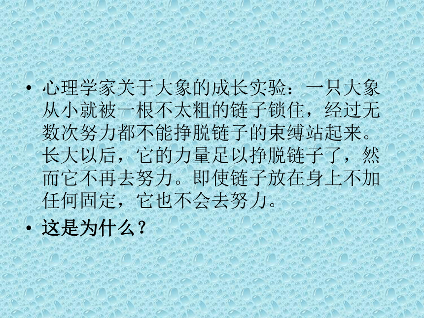 辽大版  四年级上册心理健康教育 第五课 自信伴我成功｜课件（17张PPT）