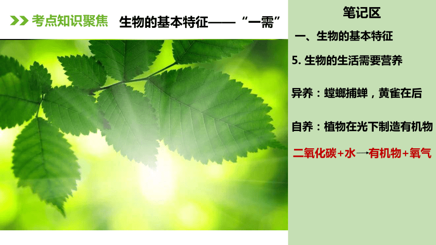 人教版七年级生物上册复习课件（117张ppt)