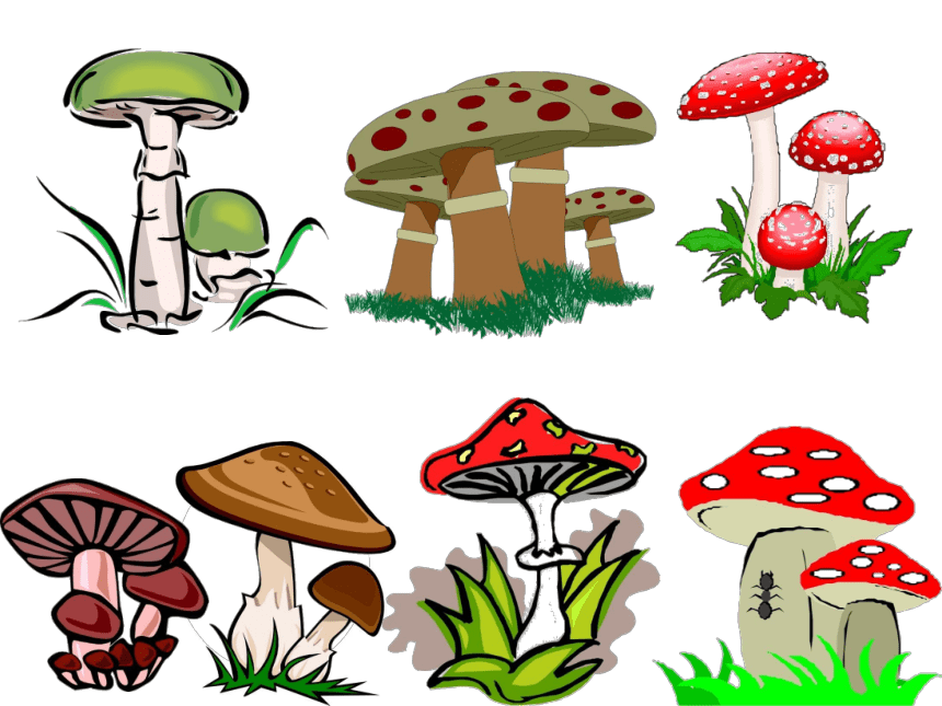 浙美版美术一年级下册 18蘑菇家园 课件(共15张PPT)