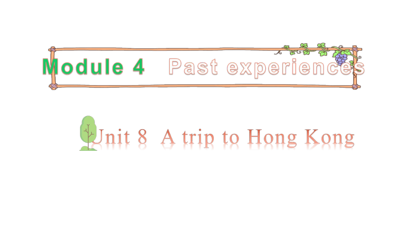 Module 4 past experiences Unit 8 A trip in Hong Kong 第2课时 课件（17张ppt）