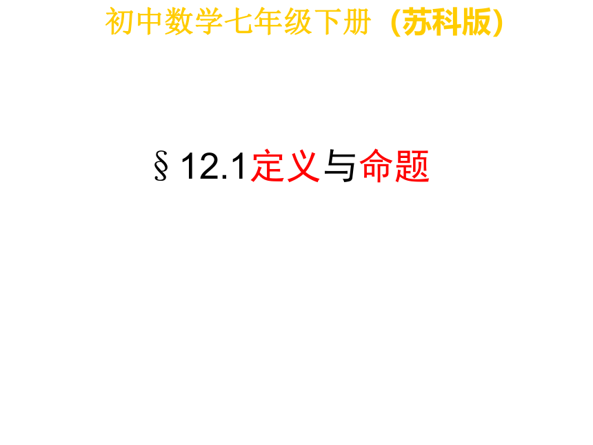 苏科版七年级下册数学：12.1 定义与命题 课件(共20张PPT)