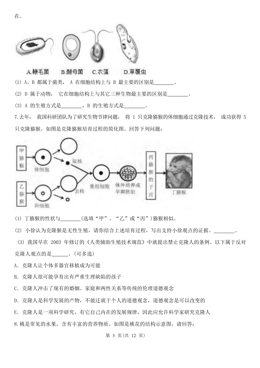 解答题3-期中分题型复习（第1章 代代相传的生命 含解析）