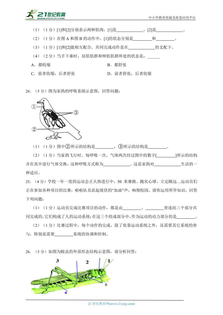 人教版生物八年级上册期中质量评估冲刺试卷（含解析）