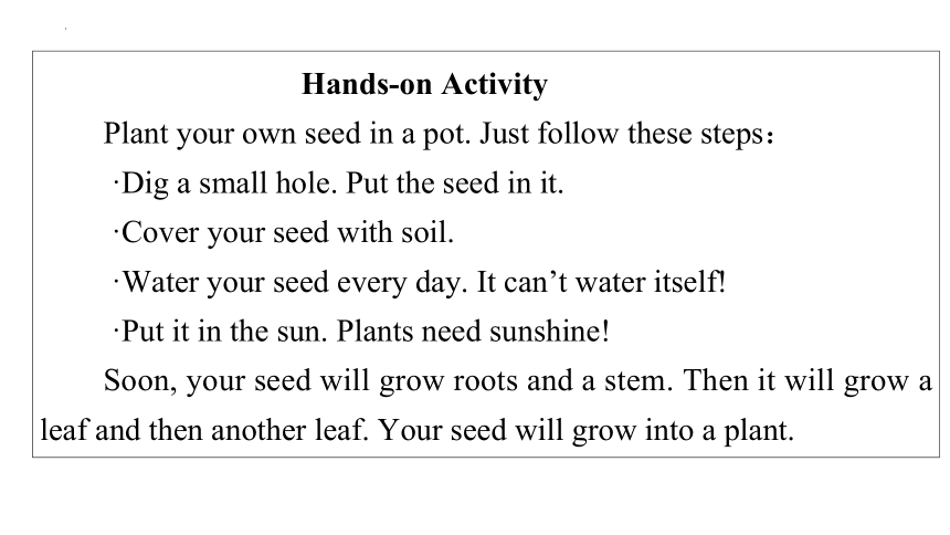 Lesson 10 Make Your Garden Grow! 课件 (共26张PPT)2022-2023学年冀教版英语八年级下册