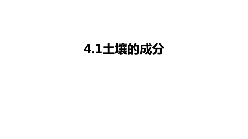 4.1土壤的成分(课件 13张PPT)