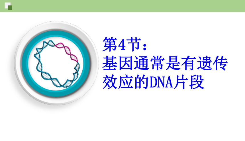 3.4基因通常是有遗传效应的DNA片段课件（共25页ppt）-人教版必修2