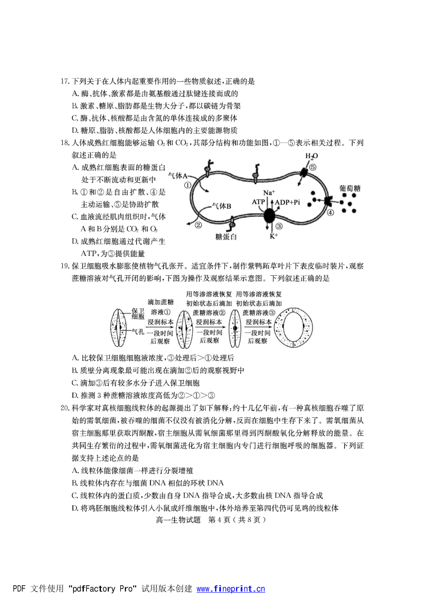 山东省临沂市兰陵县2021-2022学年高一上学期期中考试生物试题（PDF版含答案）