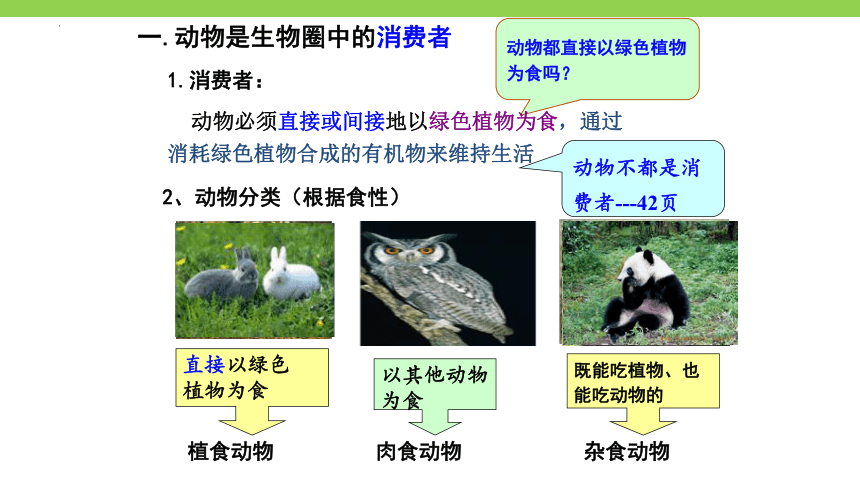 5.17.1动物在生物圈中的作用课件(共19张PPT)2022-2023学年北师大版生物八年级上册