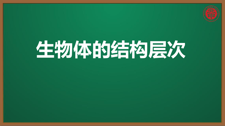 初中生物复习知识点精讲课件 8 生物体的结构层次