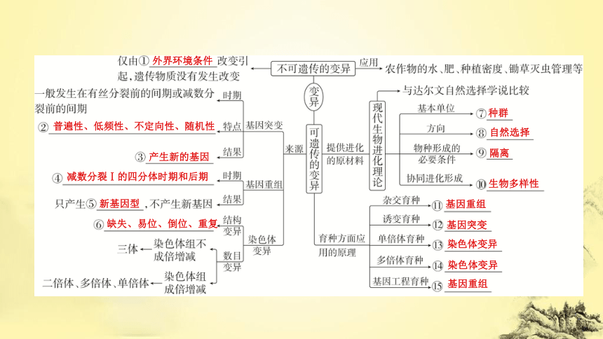 新人教生物二轮复习课件8 生物的变异、育种和进化(课件共77张PPT)