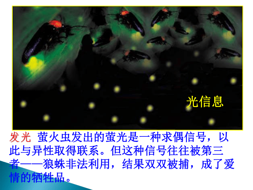 2021-2022学年高二上学期 人教版生物必修三5.4生态系统的信息传递课件945张PPT）