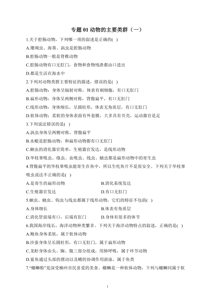 专题01 动物的主要类群（一）——2022-2023学年人教版八年级生物上学期期末专题复习（含解析）