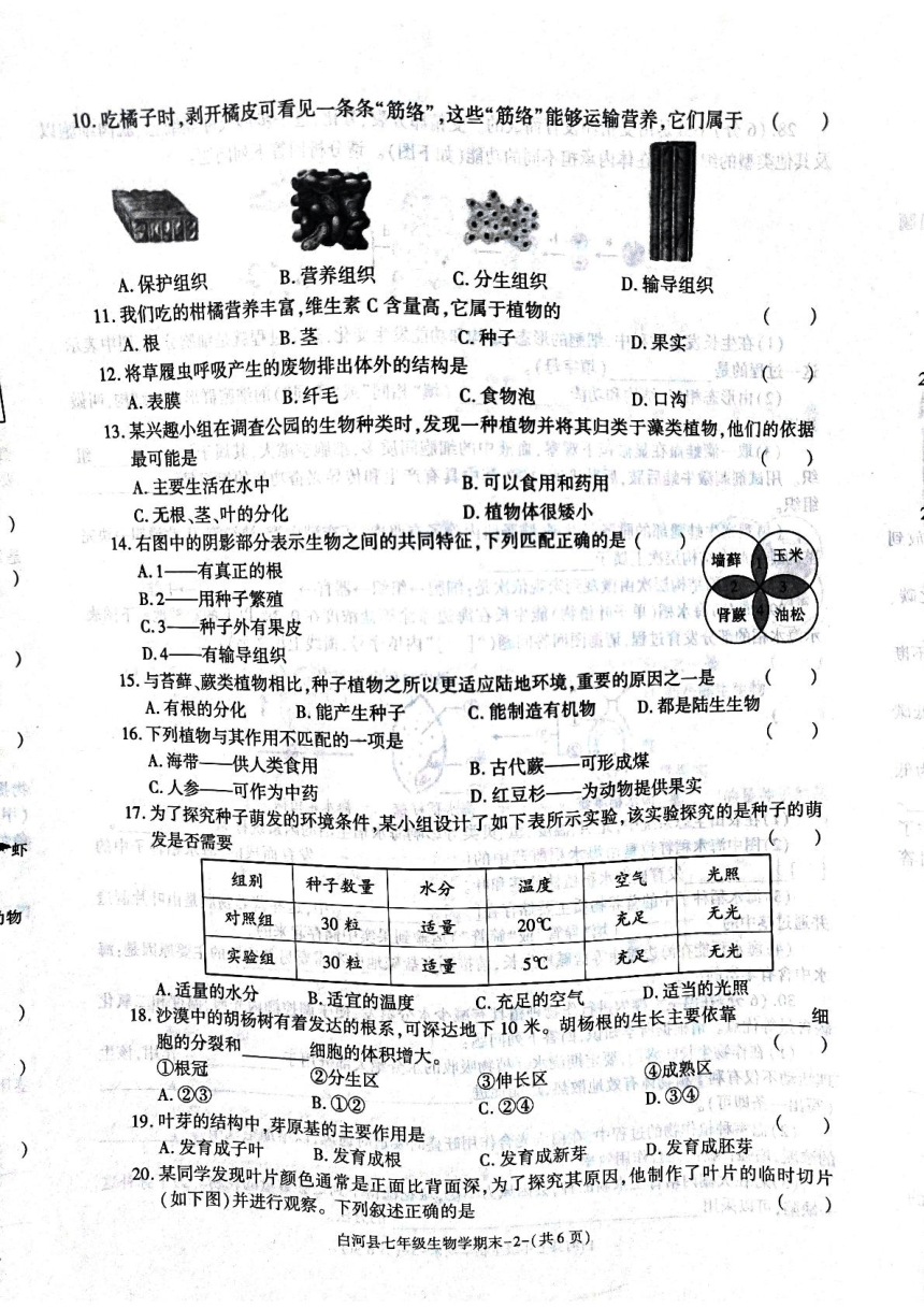 陕西省安康市白河县2023-2024学年七年级上学期期末质量检测生物试卷（PDF版无答案）