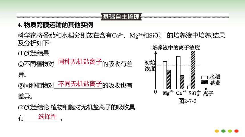 高三生物一轮复习：第7讲  细胞的物质输入和输出(共95张PPT）