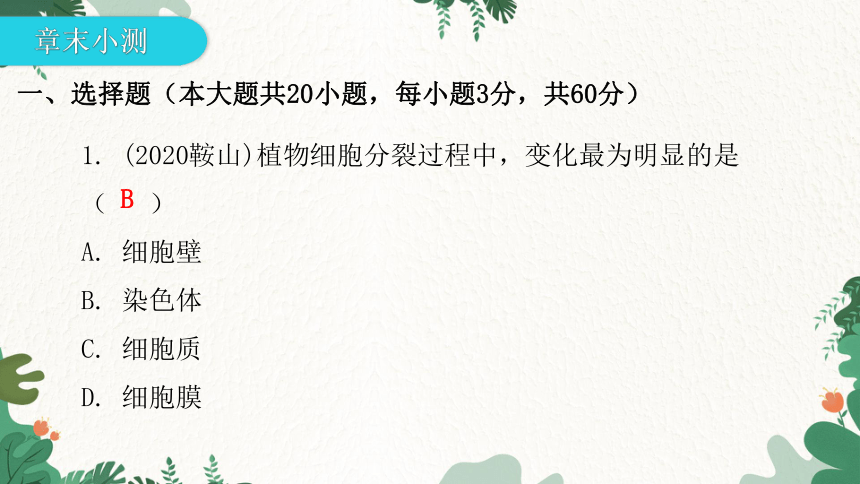 人教版生物七年级上册 第二单元生物体的结构层次章末总结第二章 细胞怎样构成生物体习题课件（共32张PPT）