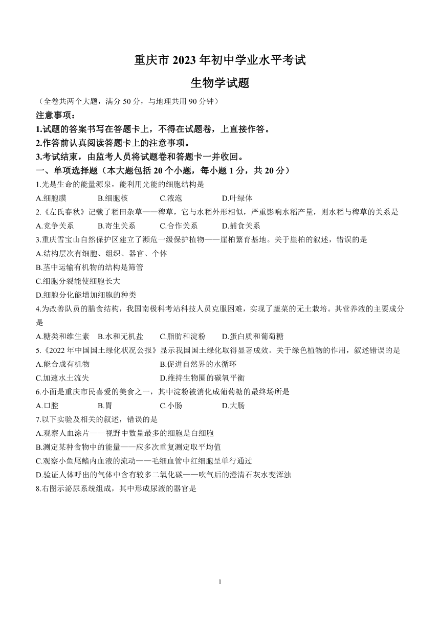 2023年重庆市中考生物真题试卷（含答案）