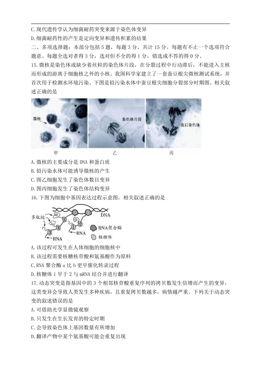 江苏省徐州市2021-2022学年高一下学期期末考试生物学试卷（Word版含答案）