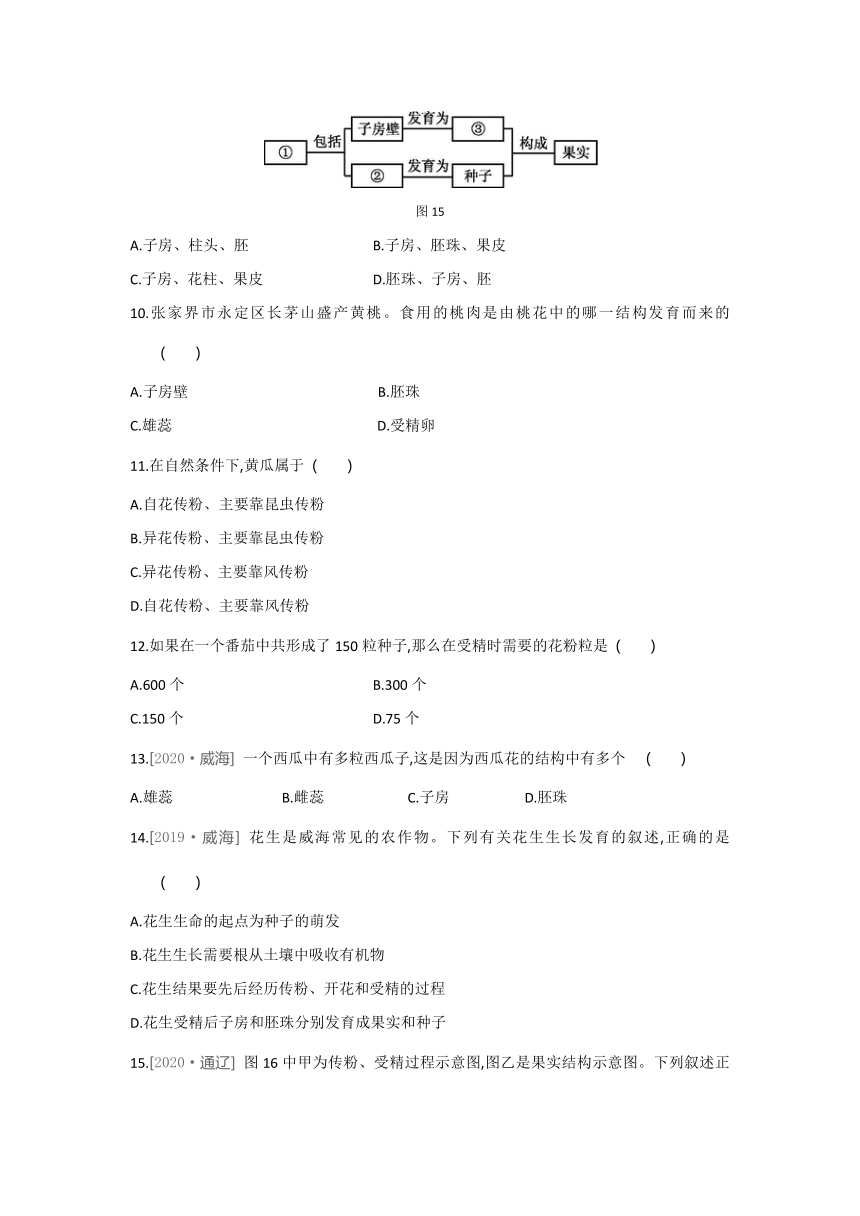 2021-2022学年人教版生物七年级上册3.2.3开花和结果---同步练习（word版 含解析）