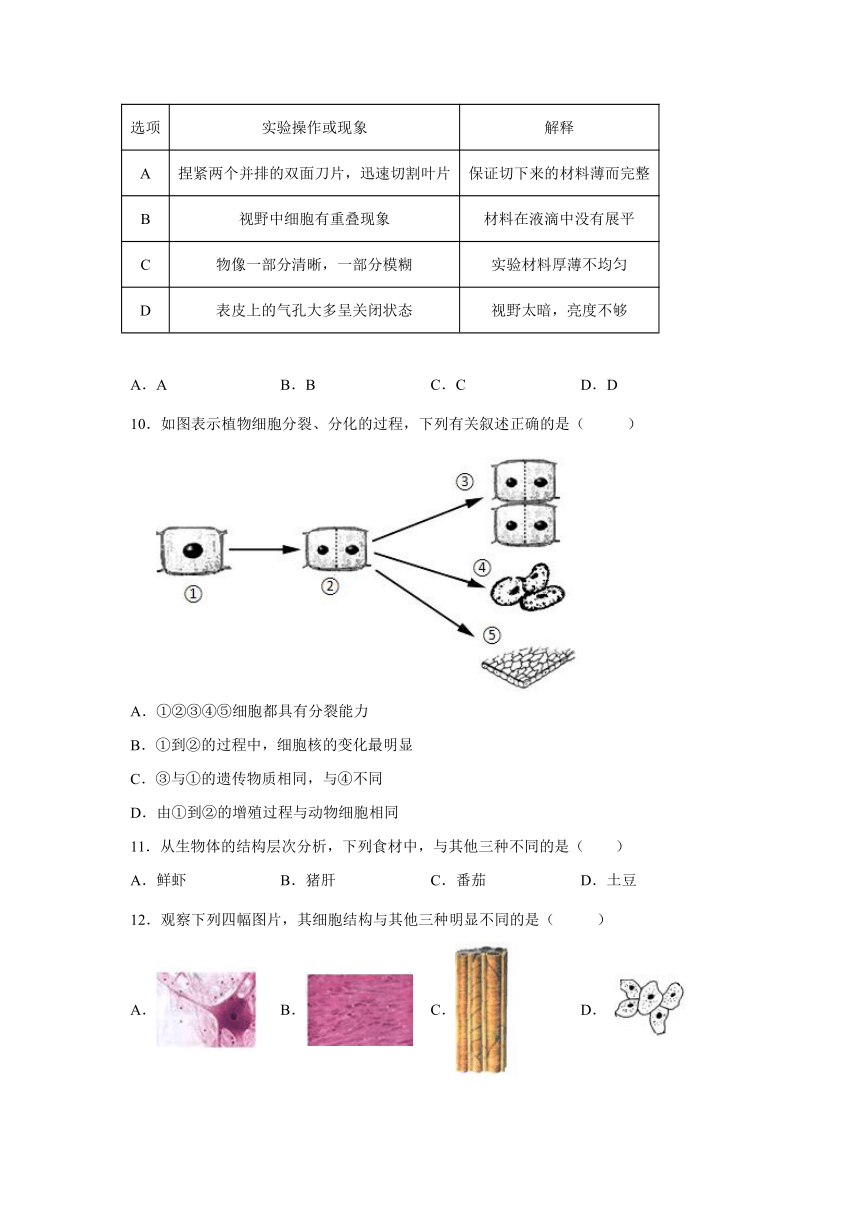 山东省潍坊市诸城市2022-2023学年七年级上学期期中生物试题（含解析）