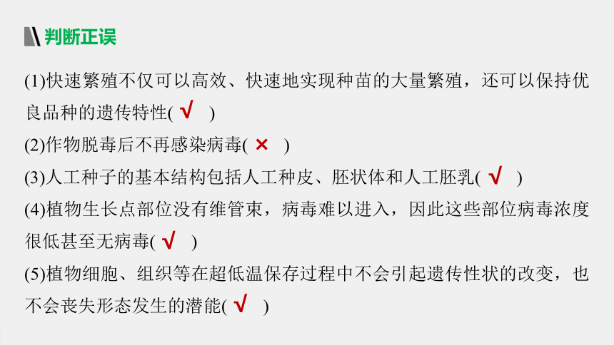 高中生物苏教版（2019）选择性必修3 生物技术与工程 第二章 第二节　植物细胞工程的应用（81张PPT）