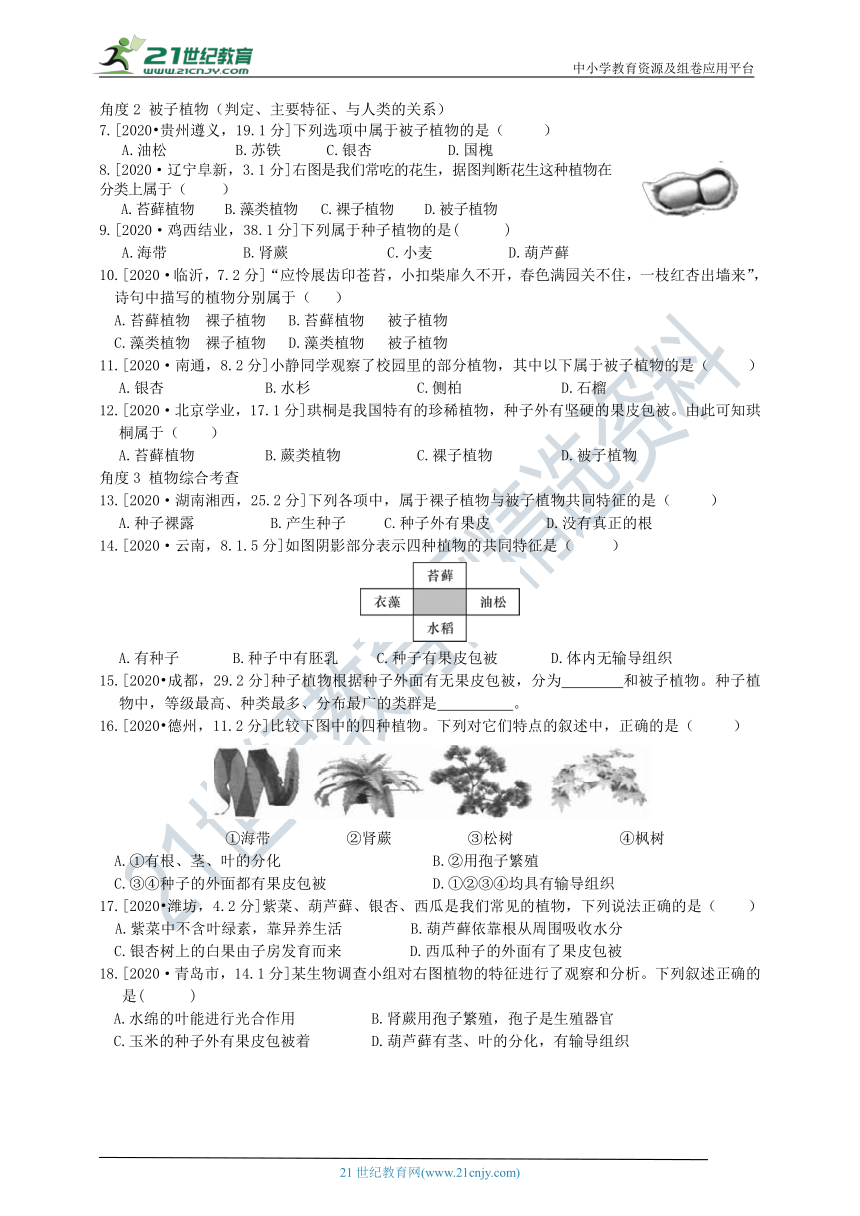 济南版中考真题汇编2.1.1绿色植物的主要类群（含答案）