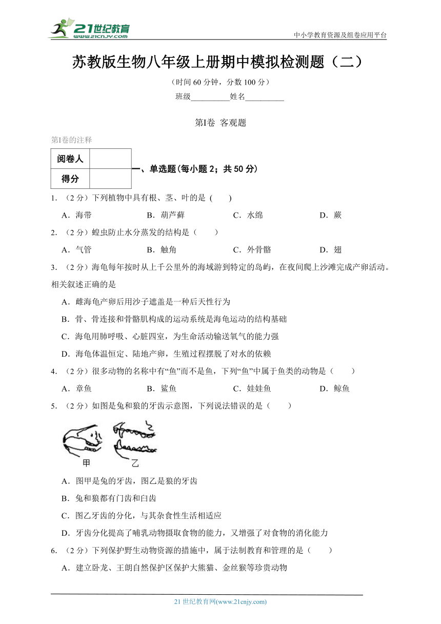 苏教版生物八年级上册期中模拟检测题（二）（含解析）