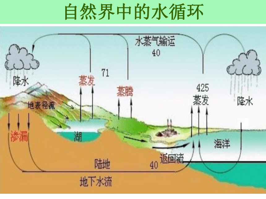 沪粤物理八年级上册4.5-水循环和水资源(共49张PPT)
