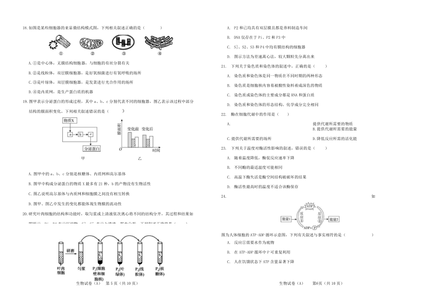 河北省元氏县第四中学2022学年-2023学年高一上学期入学摸底考试生物（A）试卷（Word版含解析）