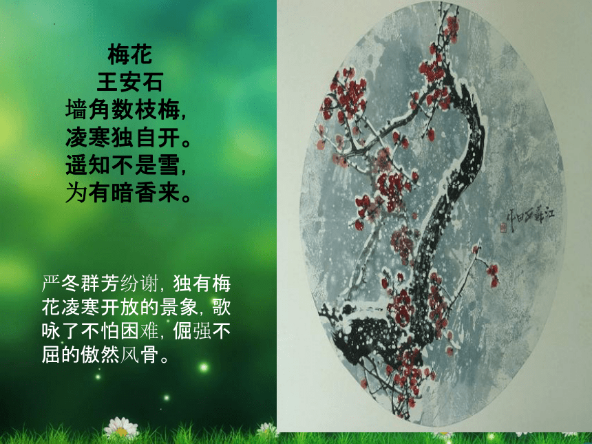 沪教版美术五年级上册 12. 彩墨花卉（课件）(共15张PPT)