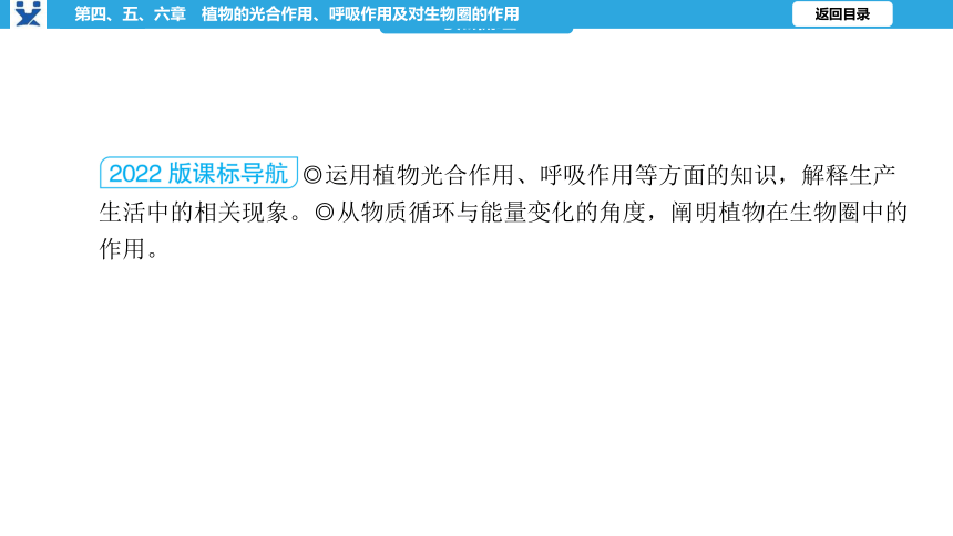 2023年中考生物复习（人教版）第三单元 第四、五、六章 植物的光合作用、呼吸作用及对生物圈的作用课件(共57张PPT)