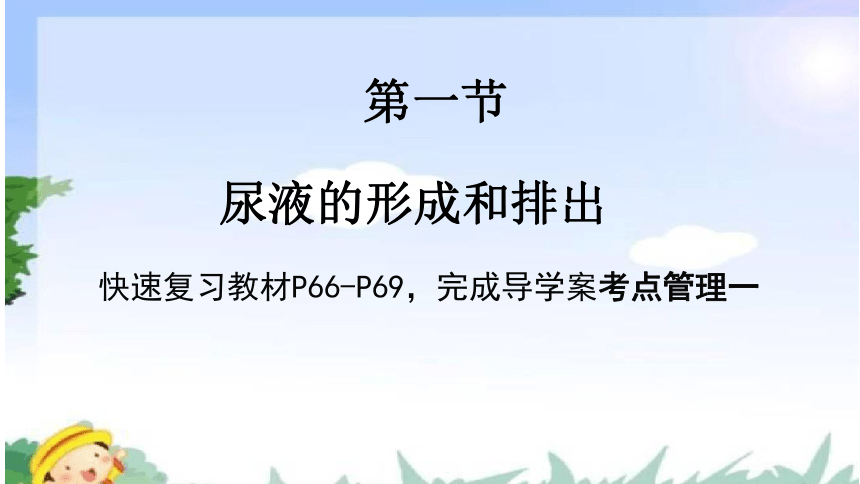 济南版生物七年级下册 3.1人体内废物的排出复习 课件(共27张PPT)