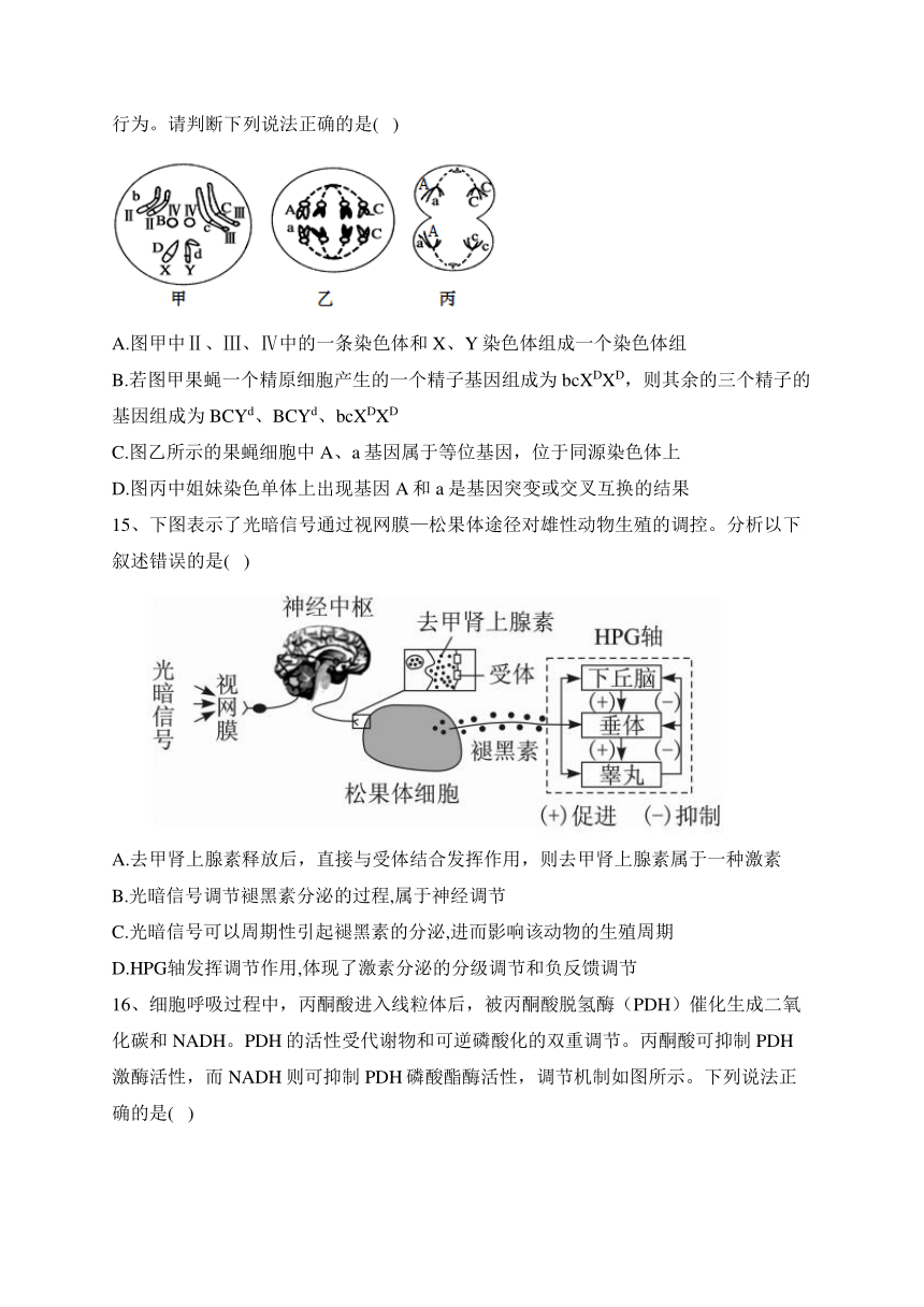 2023届新高考生物金榜猜题卷 【福建专版】（含答案）