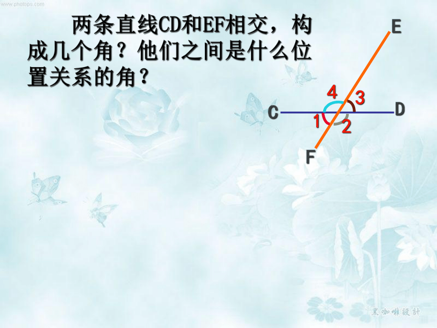 华东师大版七年级上册5.1.3  同位角内错角同旁内角 课件（23张）