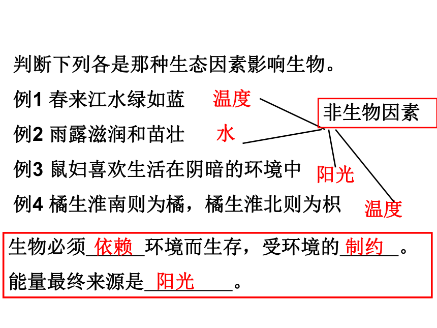 北师大版八年级下册23.1生物的生存依赖一定的环境课件(共19张PPT)