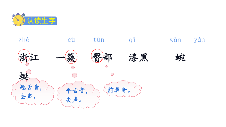 17.记金华的双龙洞   第一课时  课件(共29张PPT)