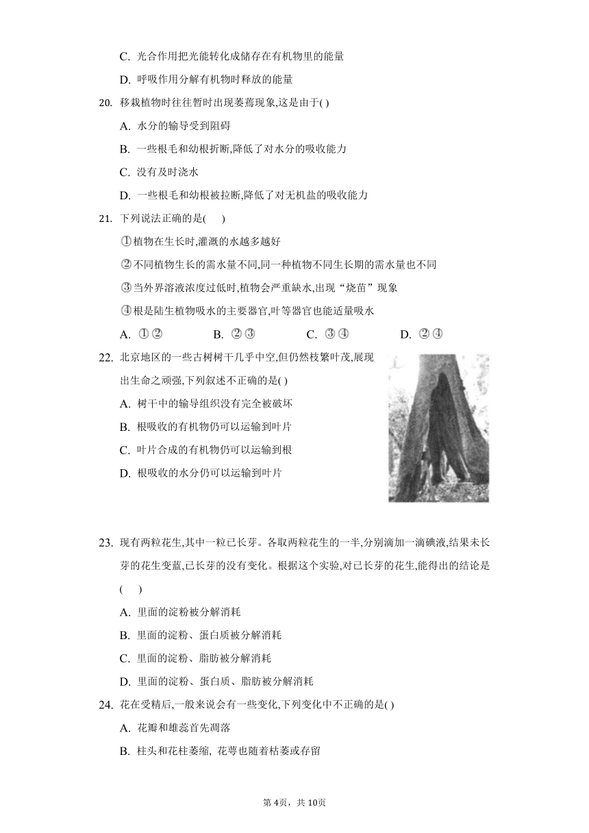 第三单元 生物圈中的绿色植物 2022-2023学年北师大版生物七年级上册单元同步练习(word版含答案）