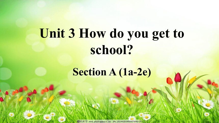 七年级下册英语Unit 3 How do you get to school? Section A（1a-2e)课件+嵌入音频（共52张PPT）