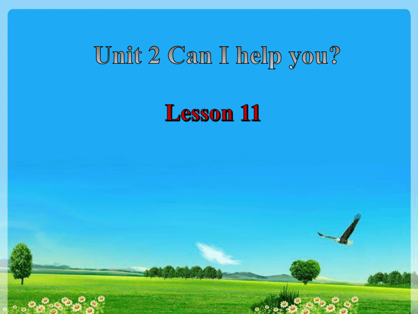 Unit 2 Can I help you ? Lesson 11 课件(共14张PPT)