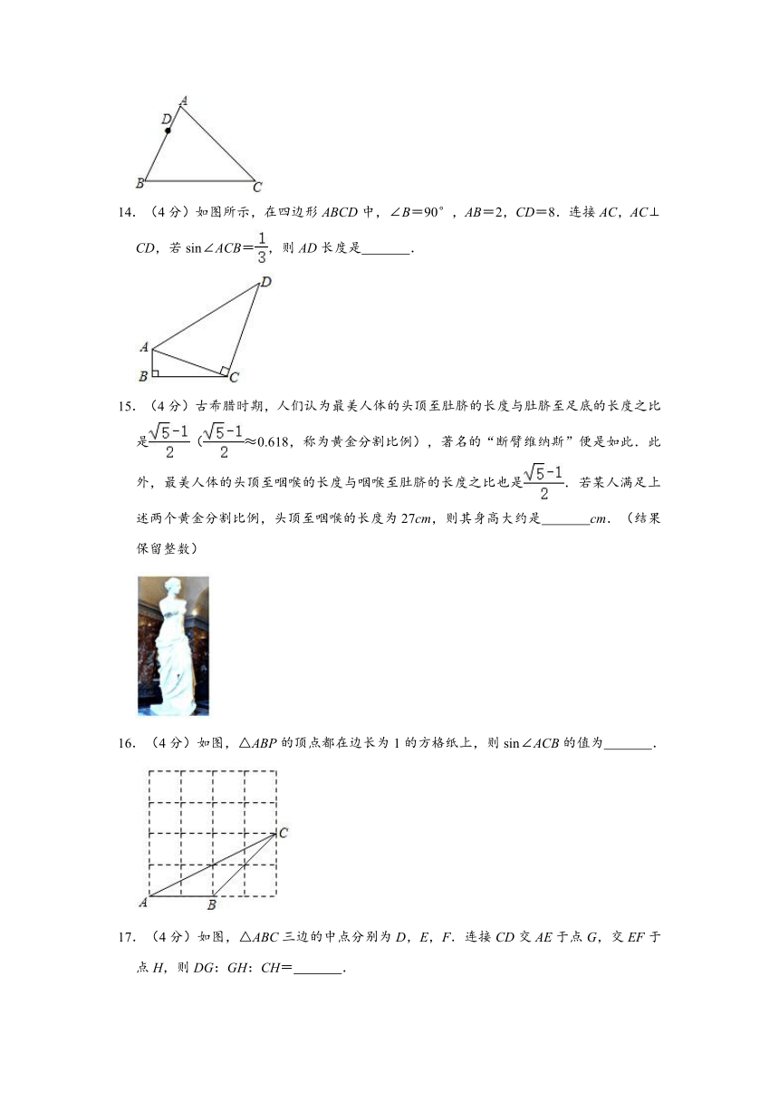 2020-2021学年上海市徐汇区位育初级中学九年级（上）期中数学试卷 （Word版 含解析）